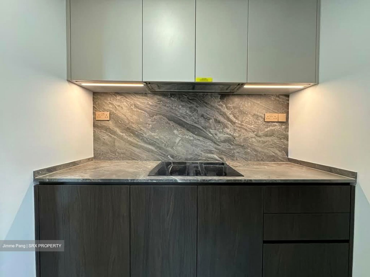 Leedon Green (D10), Condominium #568743631